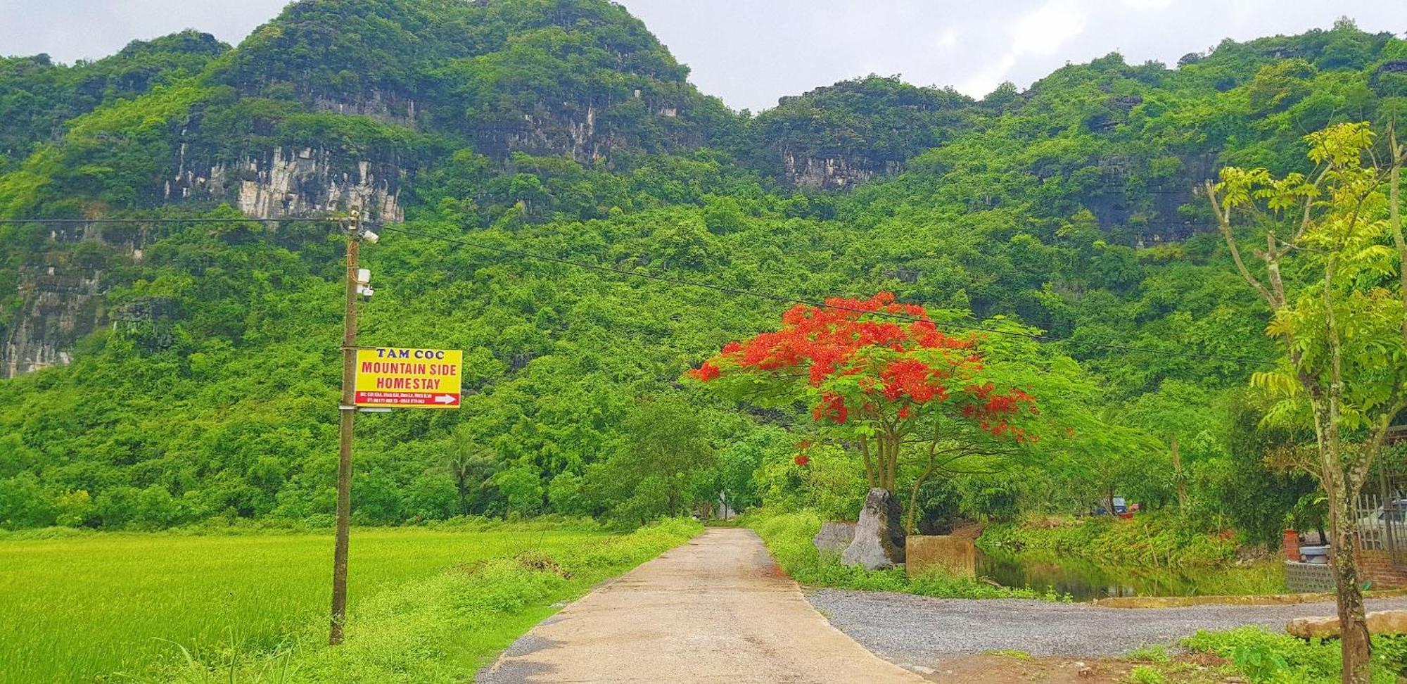 Tam Coc Moutainside Homestay Ninh Bình Ngoại thất bức ảnh