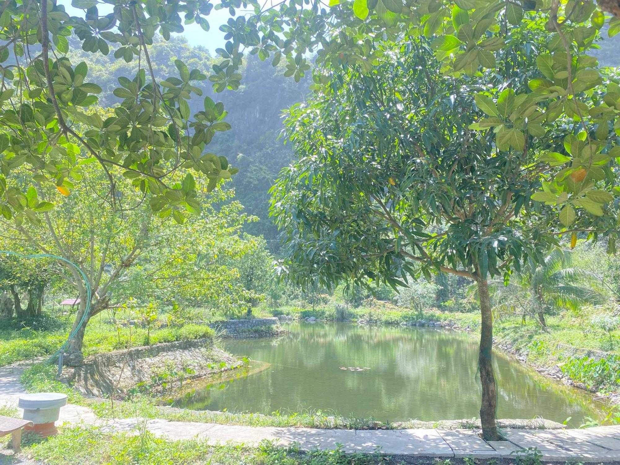 Tam Coc Moutainside Homestay Ninh Bình Ngoại thất bức ảnh